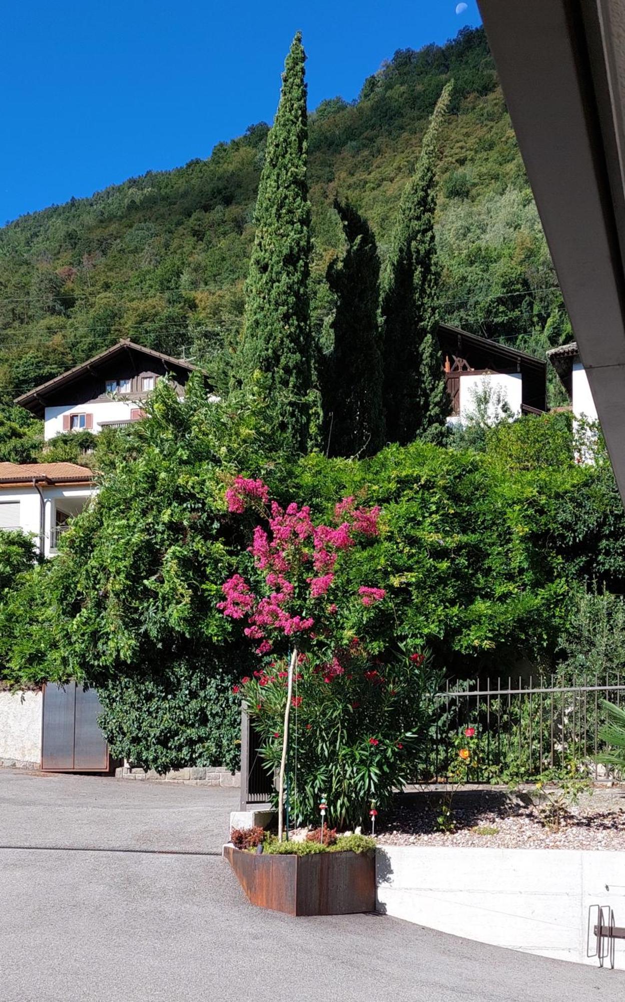 Marlingsuites - Vinea - Wieser Josef - Marling Extérieur photo