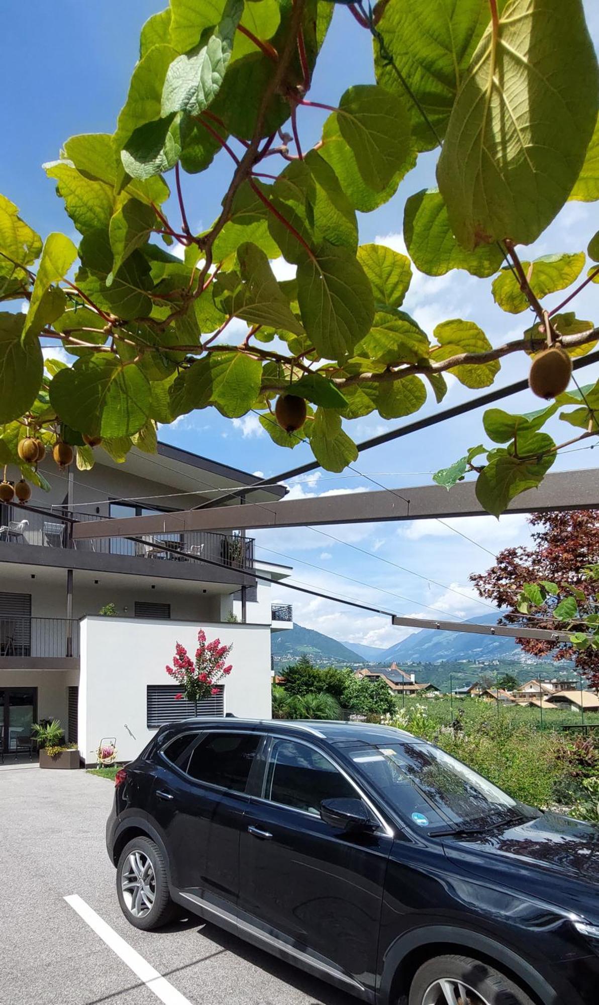 Marlingsuites - Vinea - Wieser Josef - Marling Extérieur photo