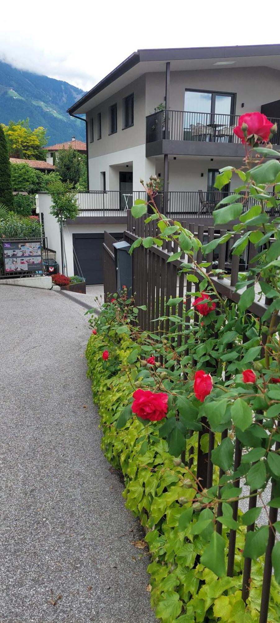 Marlingsuites - Vinea - Wieser Josef - Marling Extérieur photo