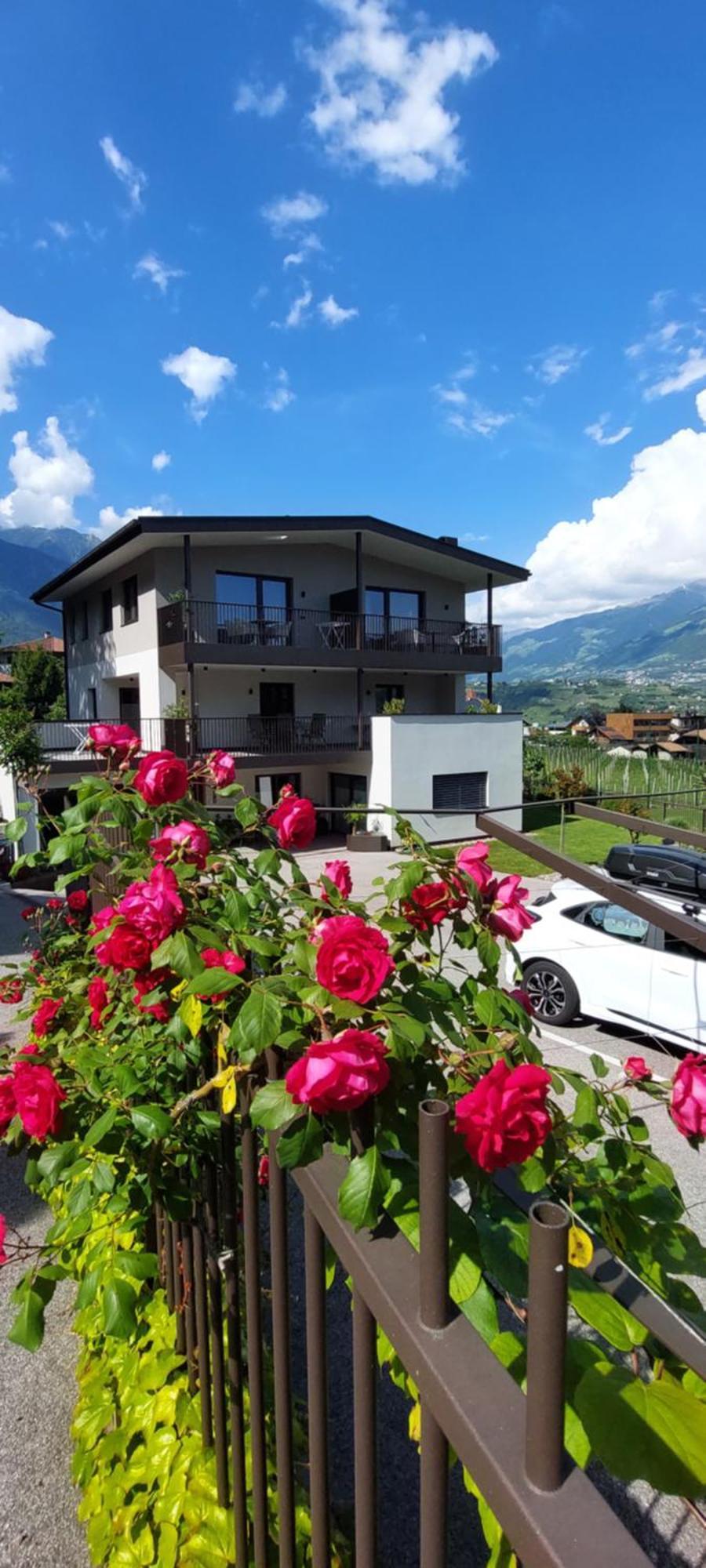 Marlingsuites - Vinea - Wieser Josef - Marling Extérieur photo
